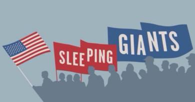 Banner de la cuenta de Twitter de “Sleeping Giants”. Fuente: “Sleeping Giants”. Captura tomada a las 15:00h de 15/06/2020.
