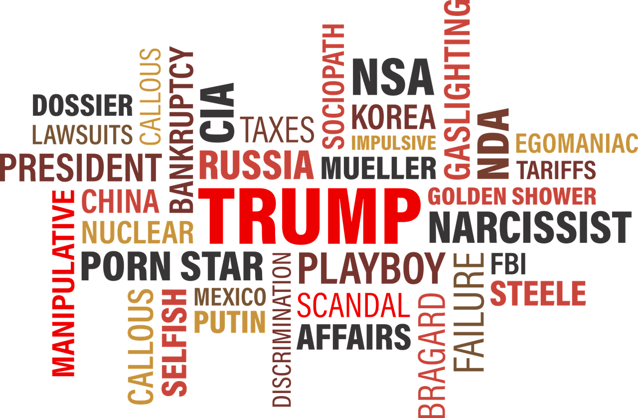 Gráfico vectorial Trump. Autor: Mary Pahlke. Fuente: Pixabay.
