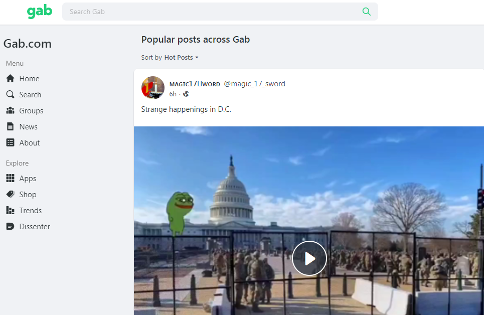 Portada de Parler y Gab, donde se ve un vídeo con el símbolo ultraderechista Pepe The
Frog. Autor: captura de pantalla hecha el 14/01/2021, 13:15. Fuente: Gab