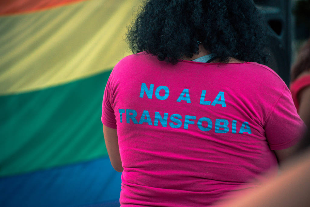 Día de la promoción de los derechos de las personas trans. Autor: TitiNicola, 18/03/2019. Fuente: Wikimedia Commons (CC BY-SA 4.0.) TERF